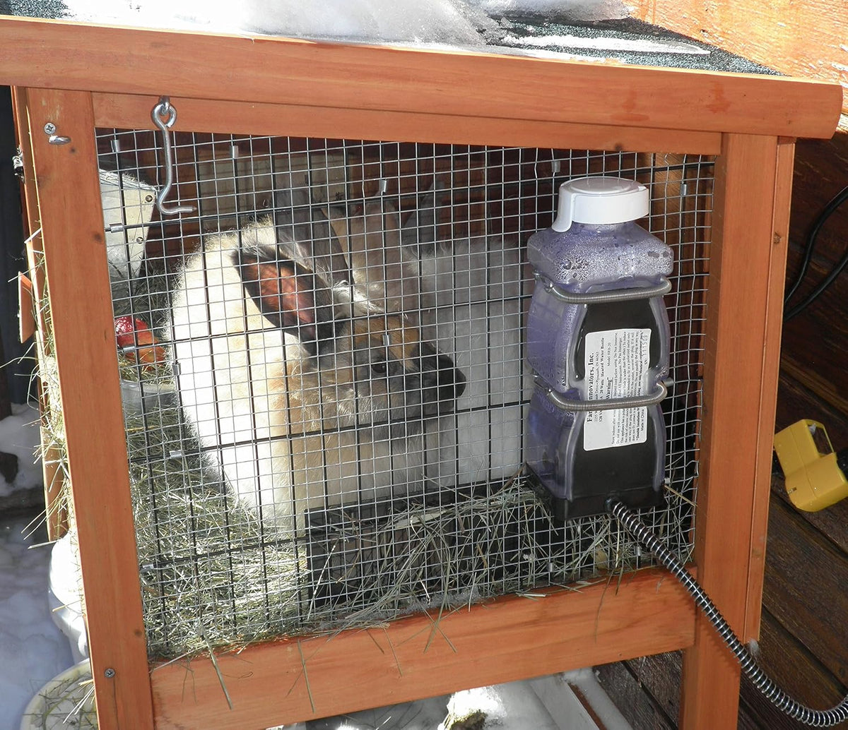 Farm Innovators Heated Water Bottle for Rabbits, 20-Watt, 32oz Capacity