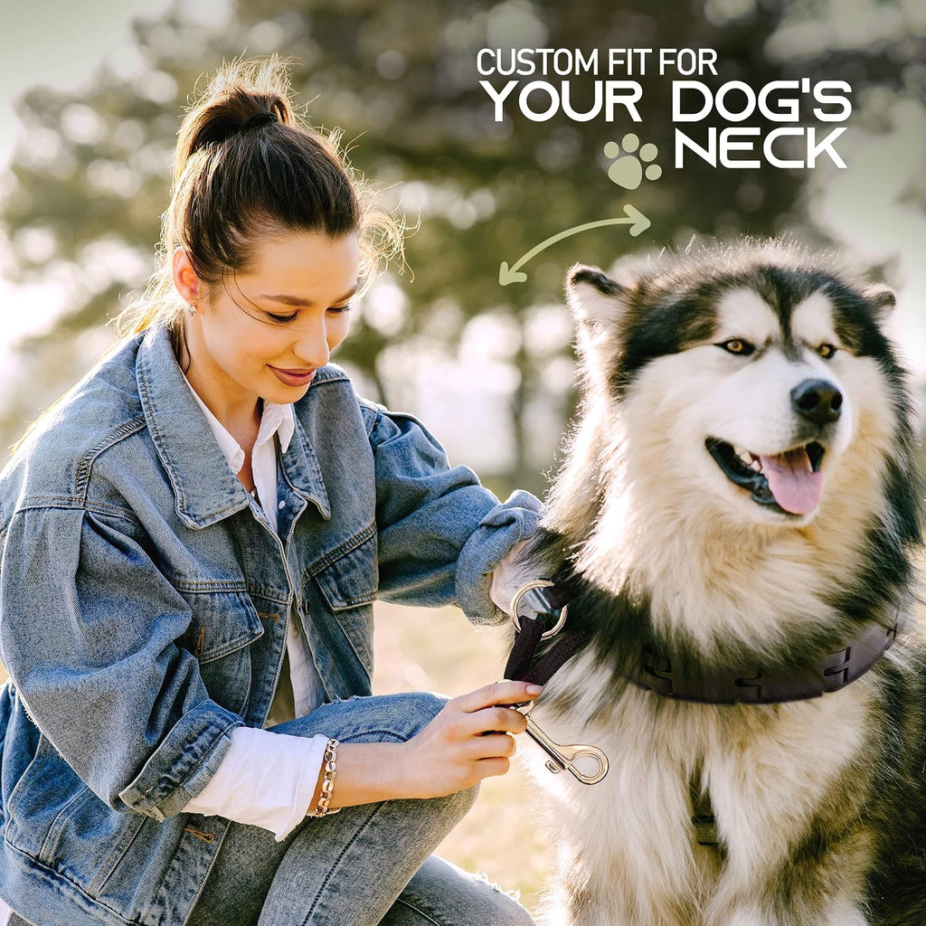 Ram-Pro Dog Training Pinch Collar Triple Crown Gentle Effective/No Barking Control for All Breeds