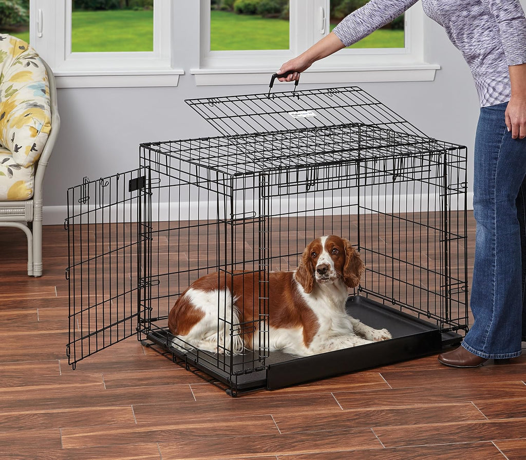 MidWest Homes for Pets Intermediate Ovation Double Door 36-inch Folding Metal Dog Crate, Front and Up & Away Side Doors, Space-Saving Design