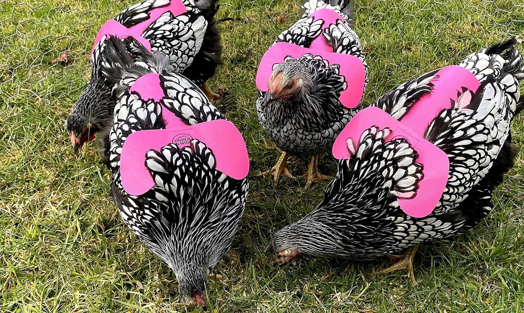 DOWN UNDER OUTDOORS 4 Pack Very Very Small PVC Chicken Saddles for Bantams