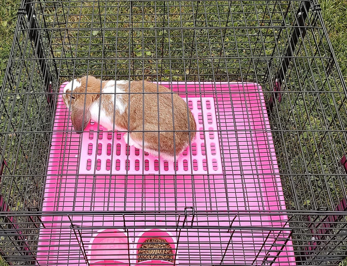 Rabbit Cage Mats with Side Clips, 15 x 10 in, Pink and Teal, 2 Pack