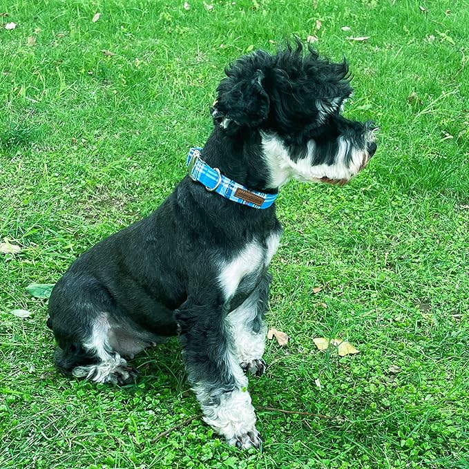 Unique Style Paws Metal Buckle Blue Plaid Collar - Image 4