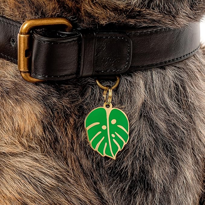 Two Tails Pet Company Personalized 'Monstera Leaf' Pet ID Tag & Collar Charm - Image 7